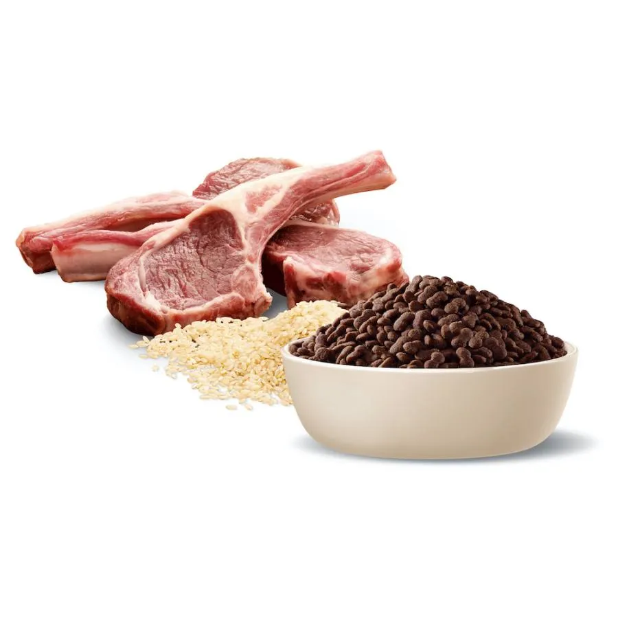 Advance Medium Adult Dry Dog Food Lamb With Rice