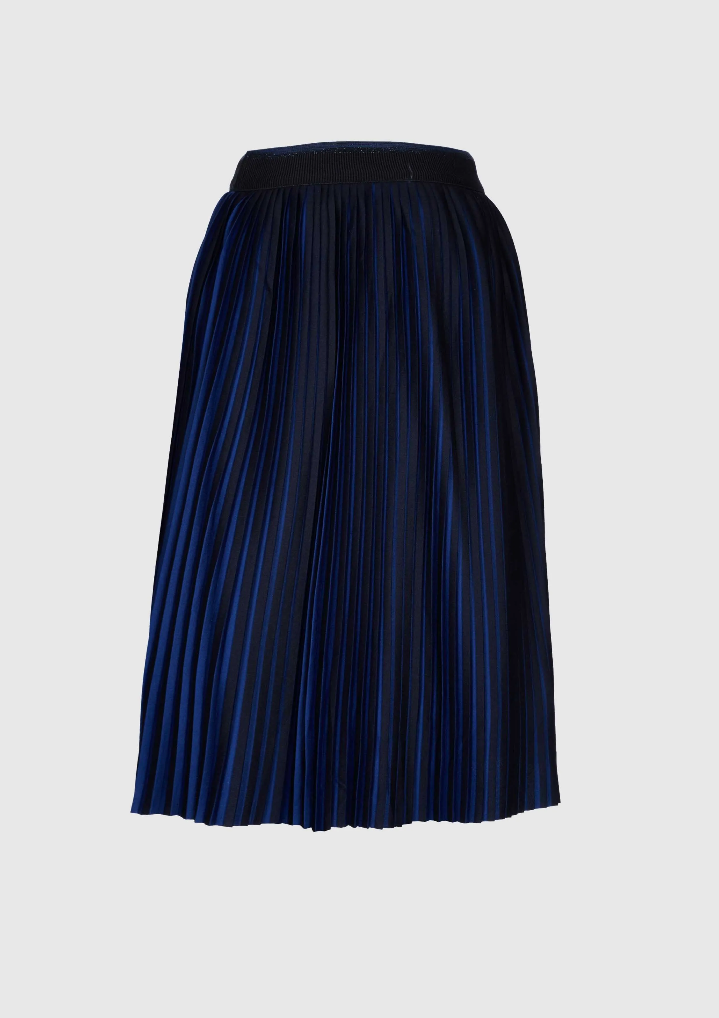 Black and blue pleated skirt