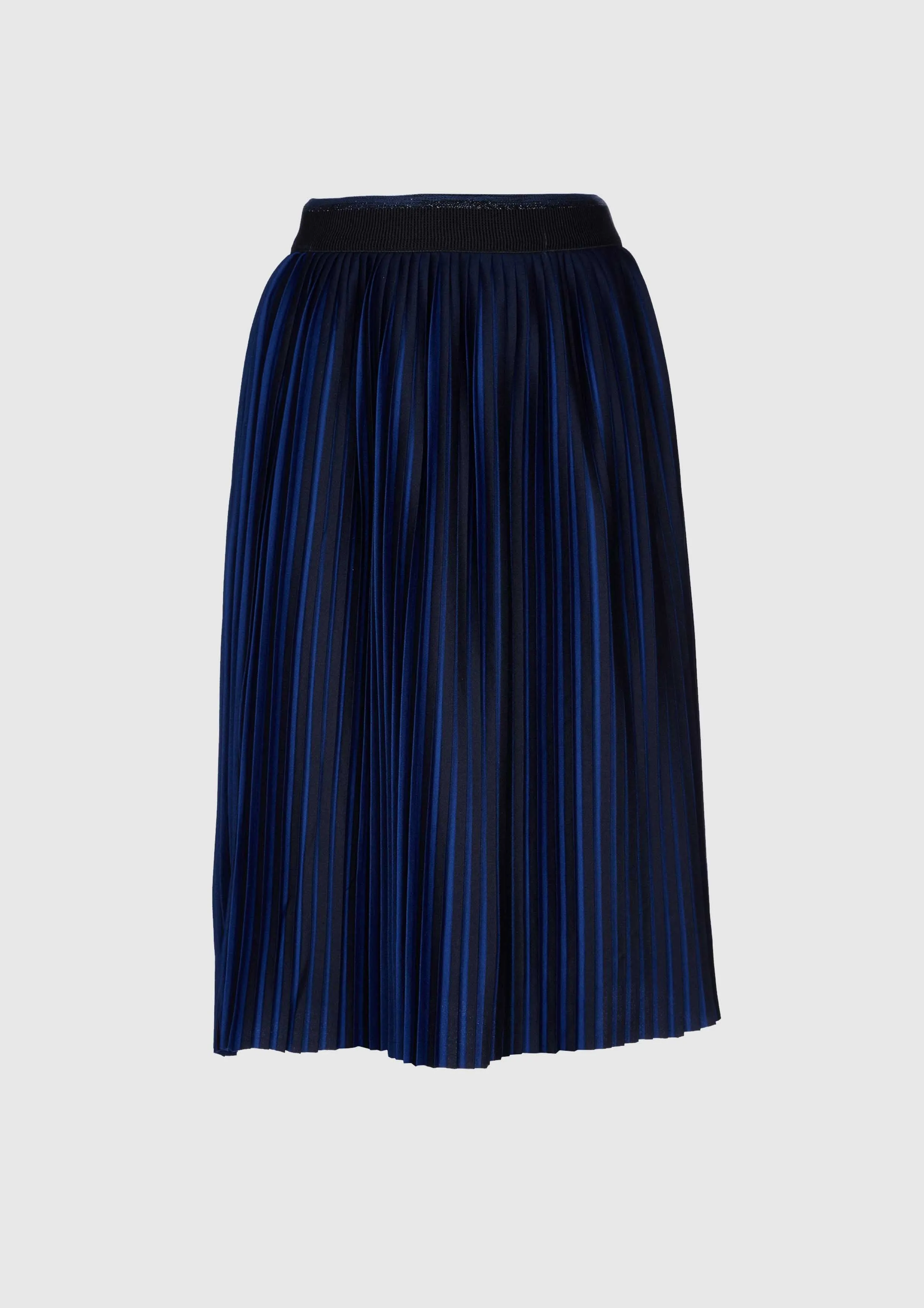 Black and blue pleated skirt