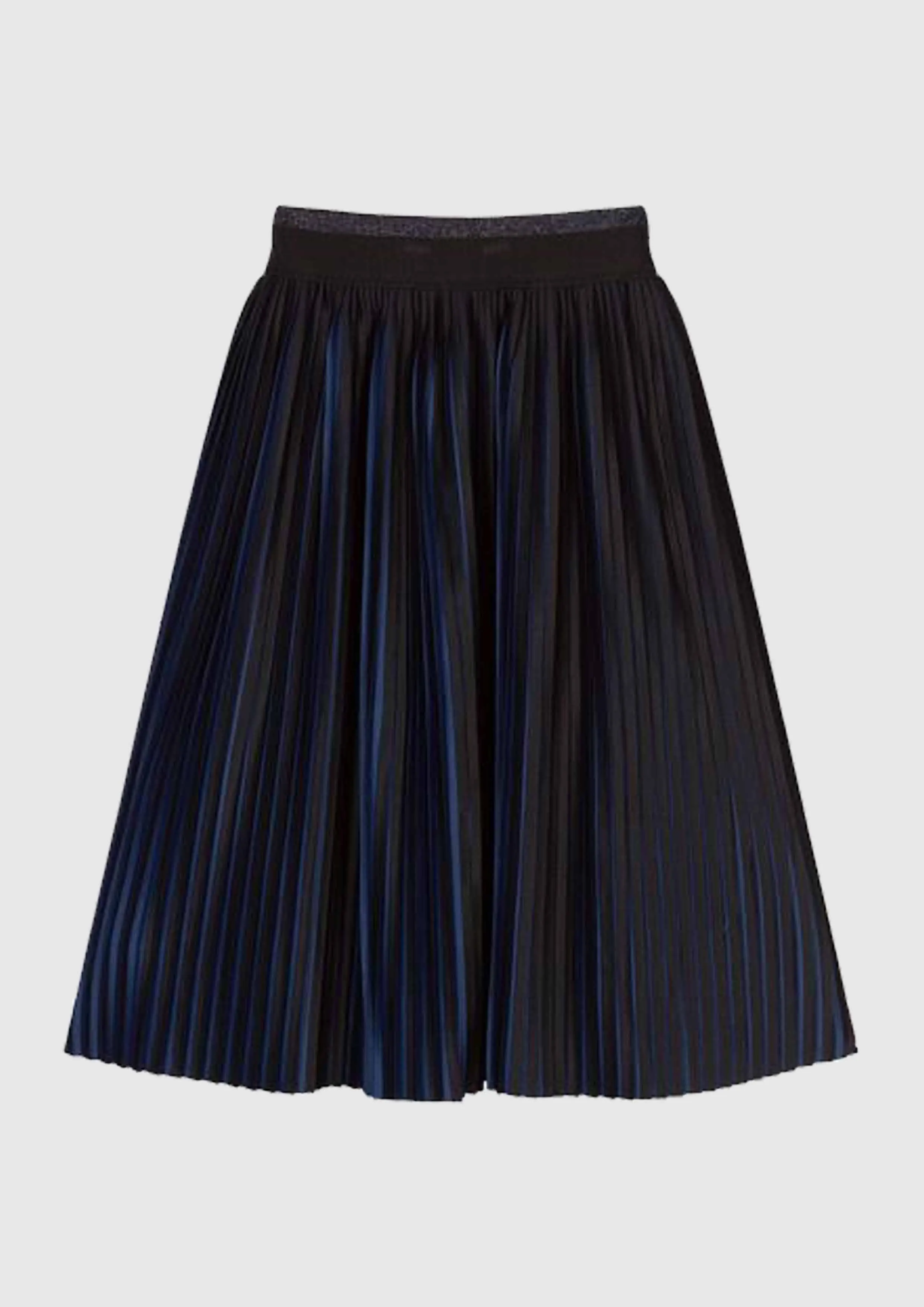 Black and blue pleated skirt
