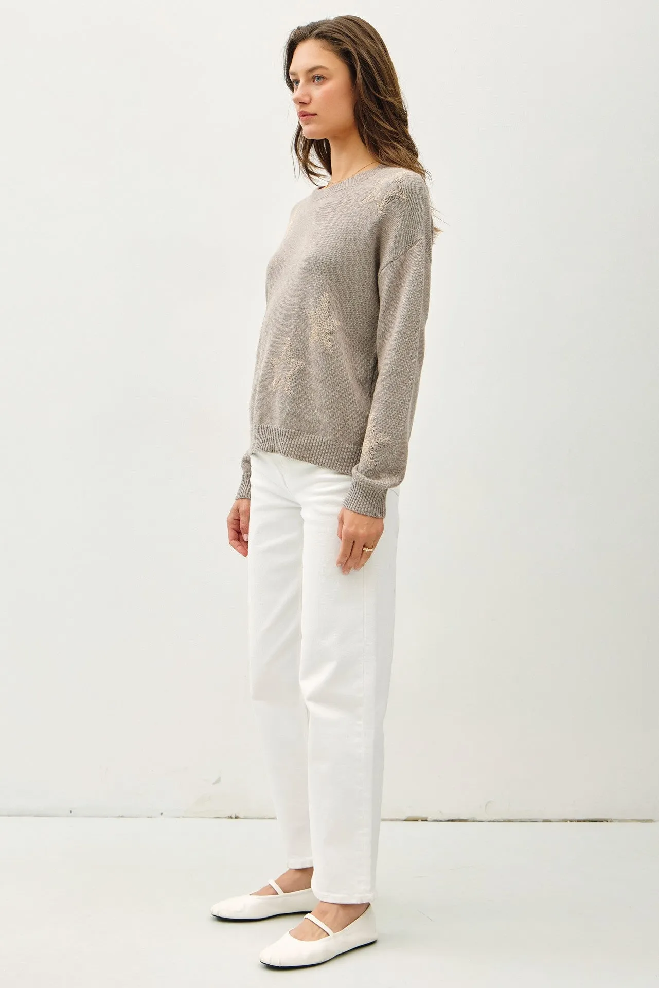 Metallic Star Crew Neck Sweater