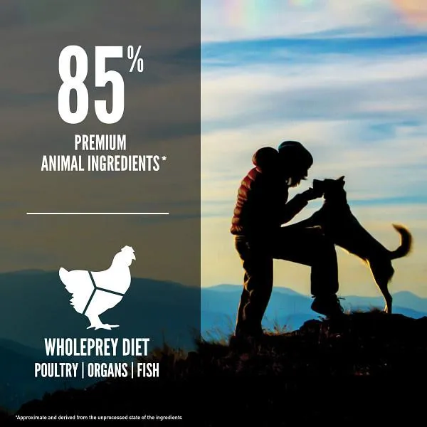 Orijen Original Dry Dog Food