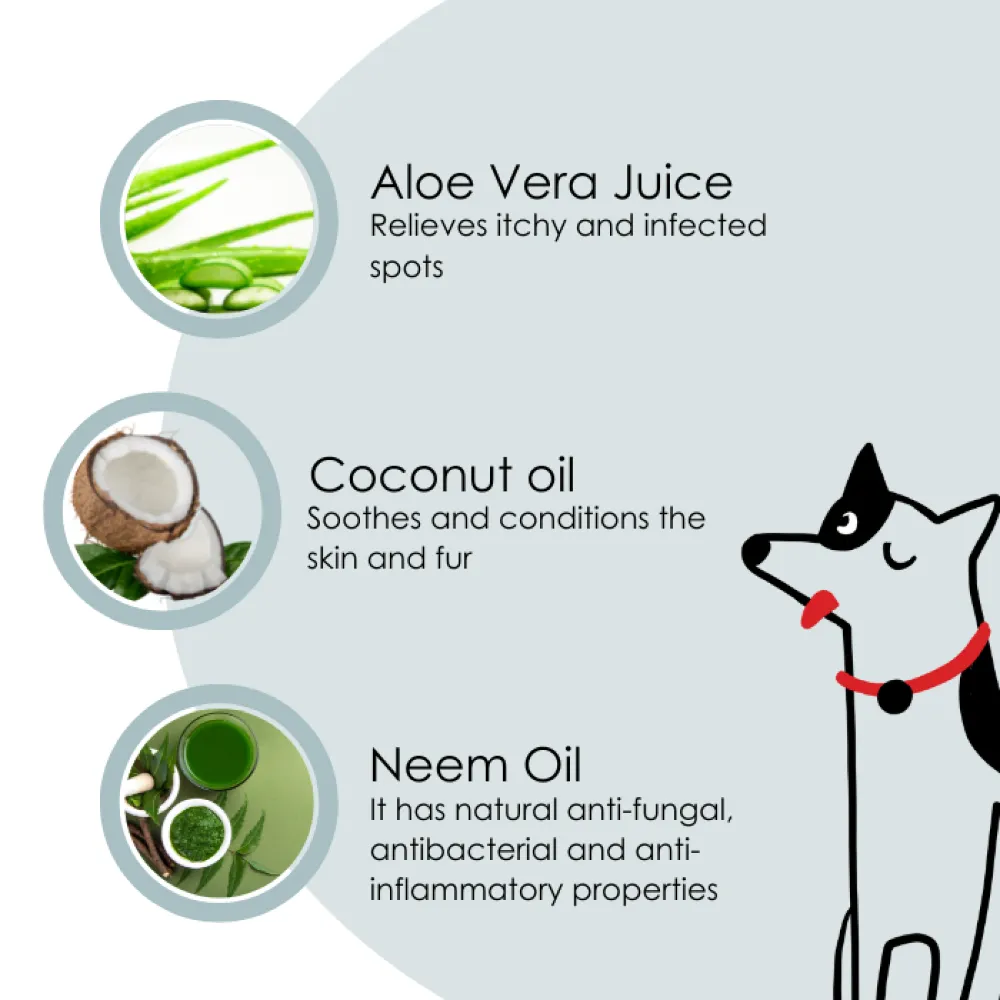 Pet And Parents Anti Bacterial/Tick/Flea Tearless Conditioner for Dogs and Cats