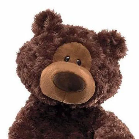 Philbin Chocolate Bear 18"