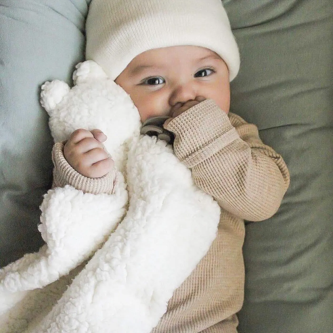 Polar Bear Teddy