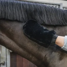 Sheepskin Grooming Glove | Kentucky