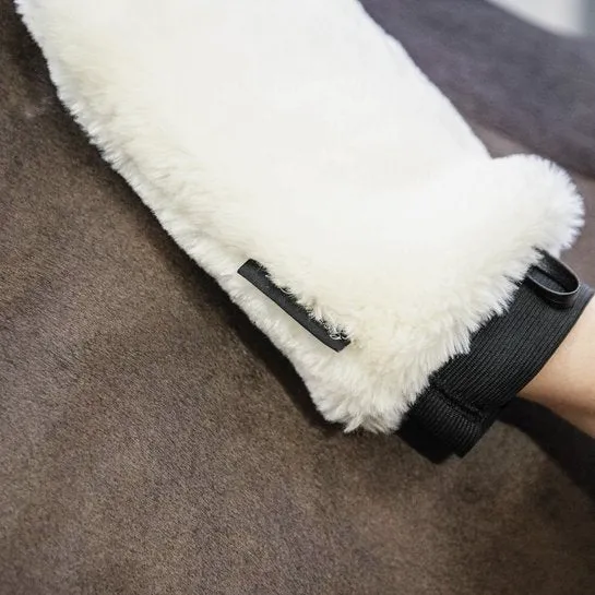 Sheepskin Grooming Glove | Kentucky