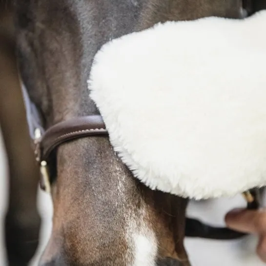 Sheepskin Grooming Glove | Kentucky