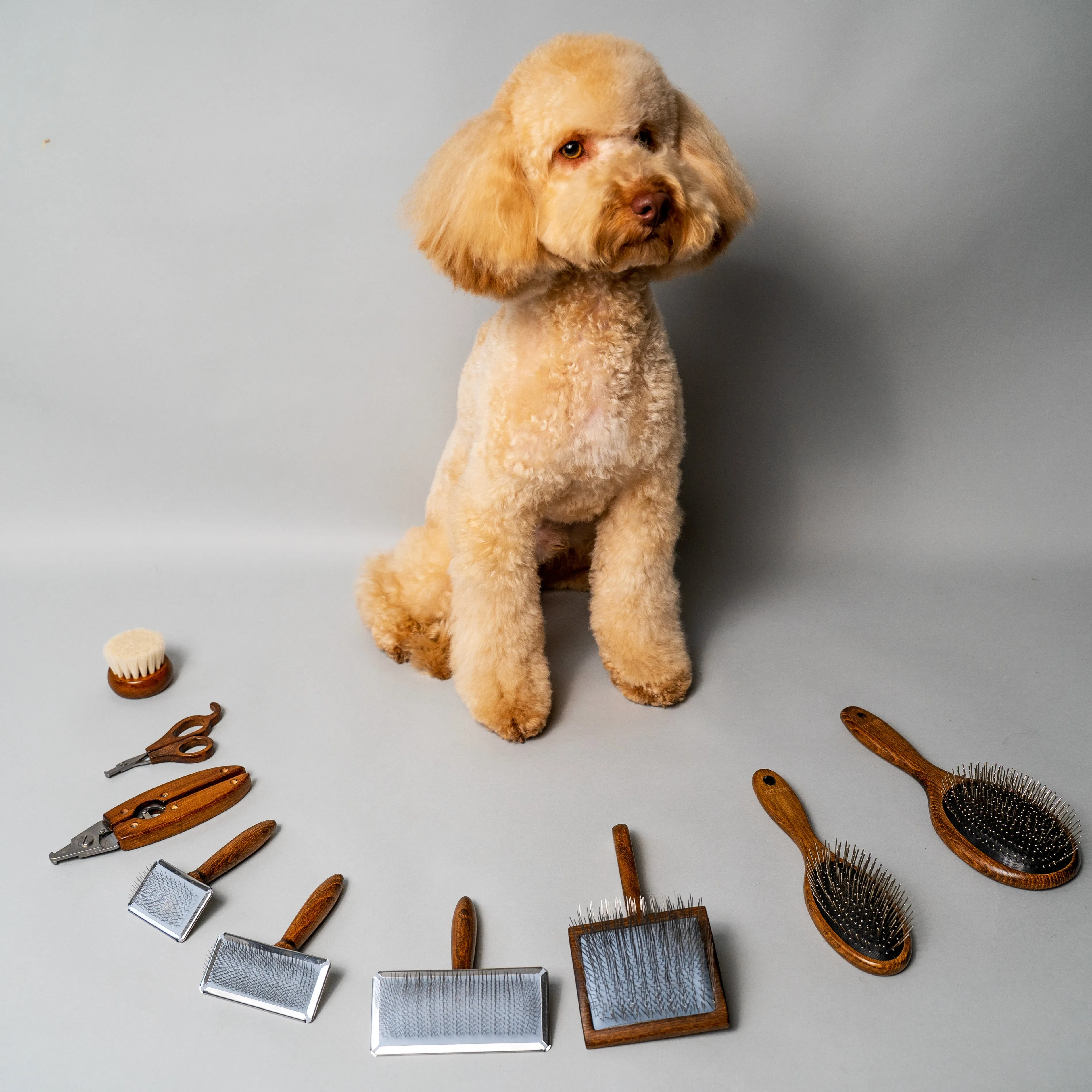 Tauro Pro Line Prestige Wooden Dog & Cat Brush With Metal Rim For All Coat Type Comfortable Brushing And Detangling, teeth 0.43 in