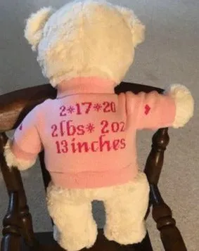 Teddy bear with personalized sweater