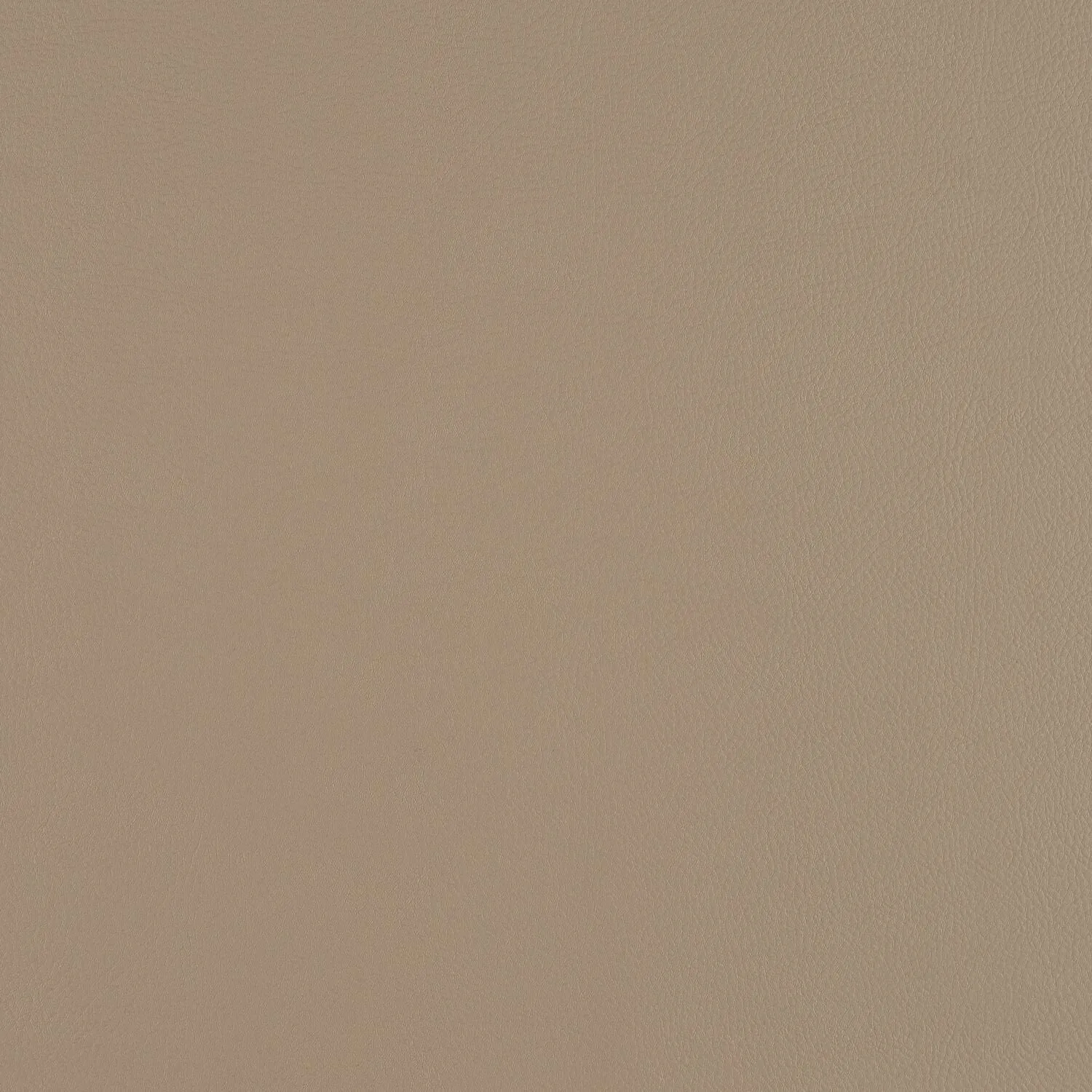 Top Coat - Stoneware - 4083 - 04